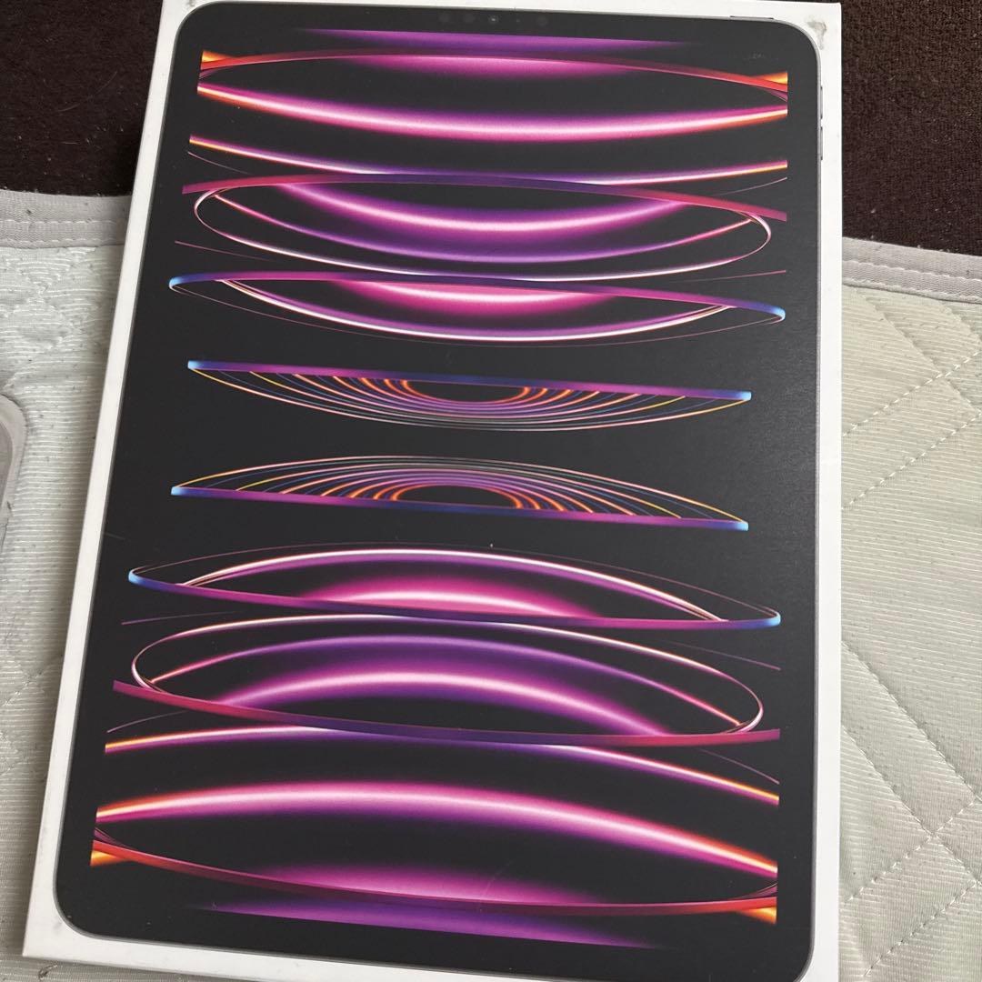 iPad Pro 11インチ (第4世代) WiFiモデル
