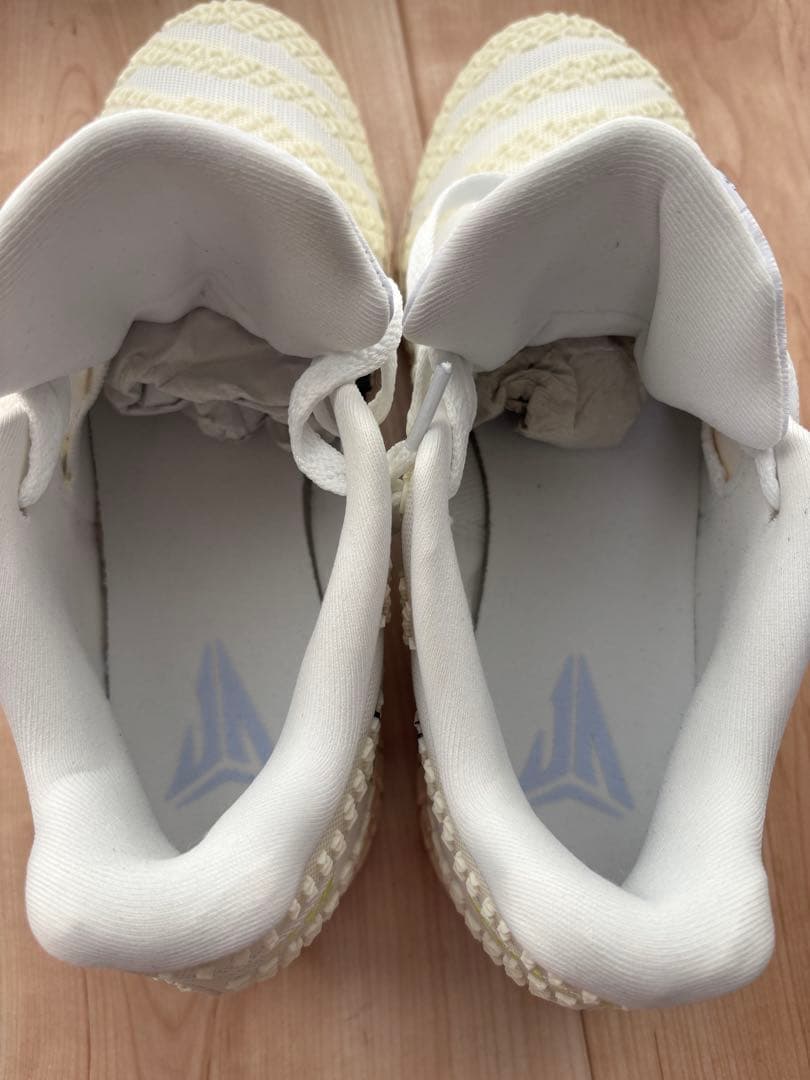 Nike JA3 27cm ナイキ ja3 EP