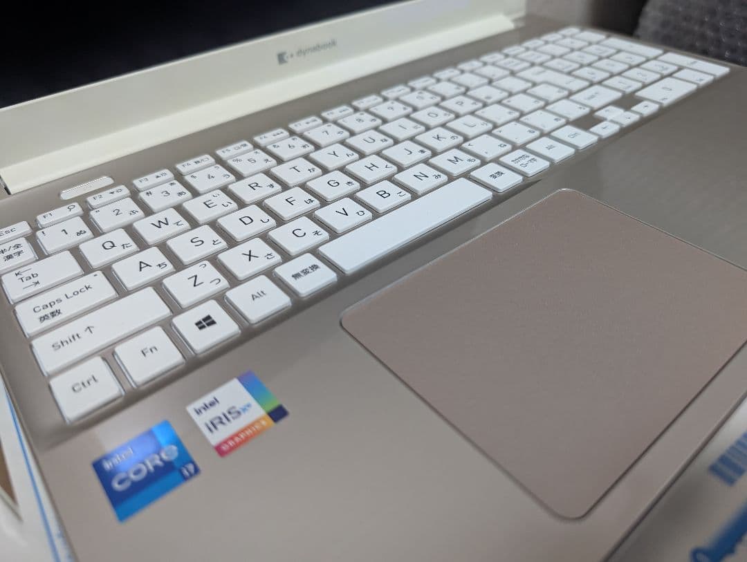 Dynabook Windows　ノートパソコン　P1C7PPBG