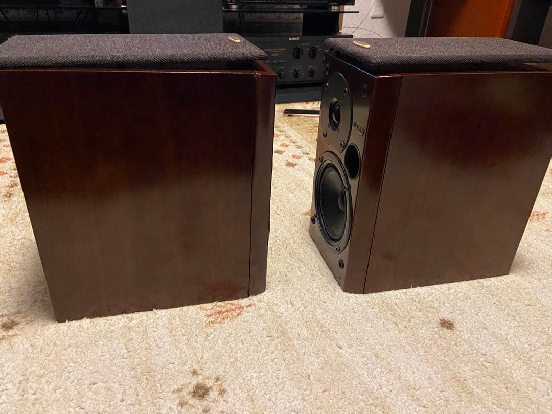 スピーカー・ウーファー ONKYO D-102AX LTD