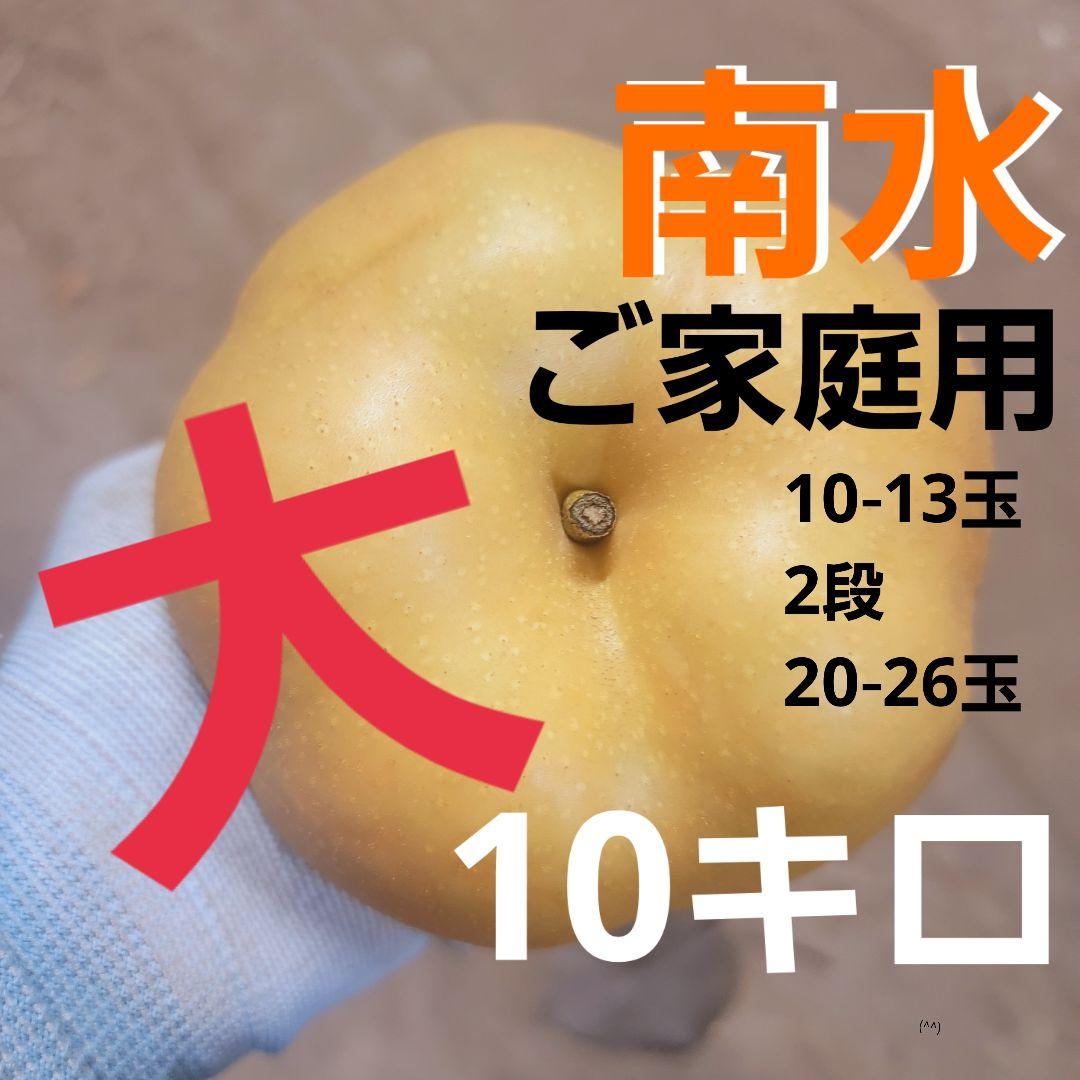 南水 ご家庭用大‼️10キロ ストックどうぞ(^^)