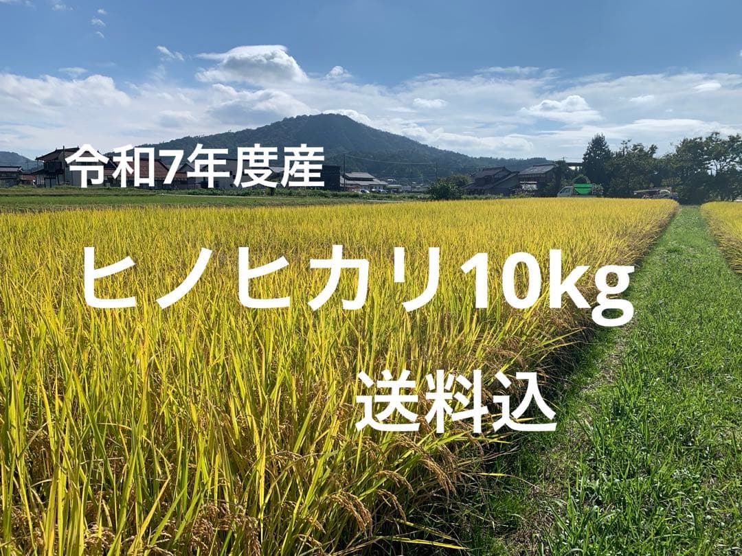令和7年度産　ヒノヒカリ10kg(玄米)送料込　農家のお米