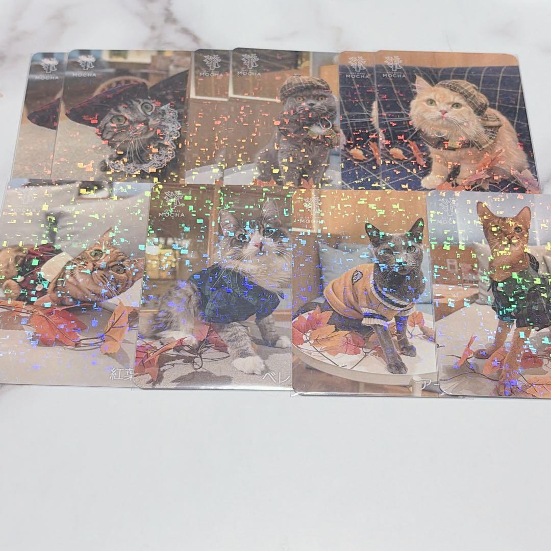 猫カフェ mocha にゃんずトレカ