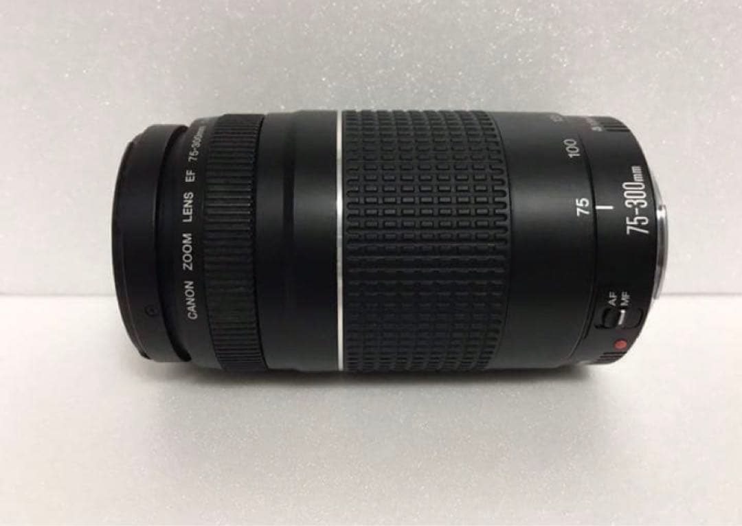 イベント☆大迫力の300㎜☆キャノン Canon EF75-300㎜