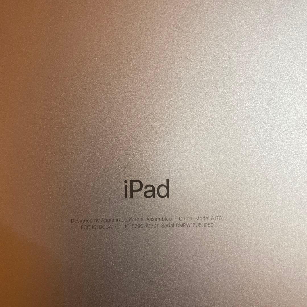 iPad Pro(10.5インチ) 256GB 付属品つき（まとめ売り）