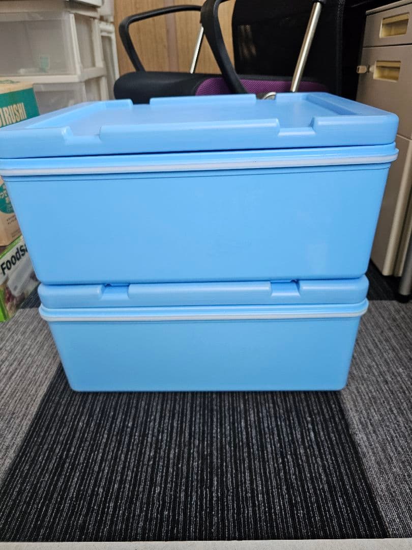 くみ　食品保管用のエスレンコンテナま2pセット　おまけ付き