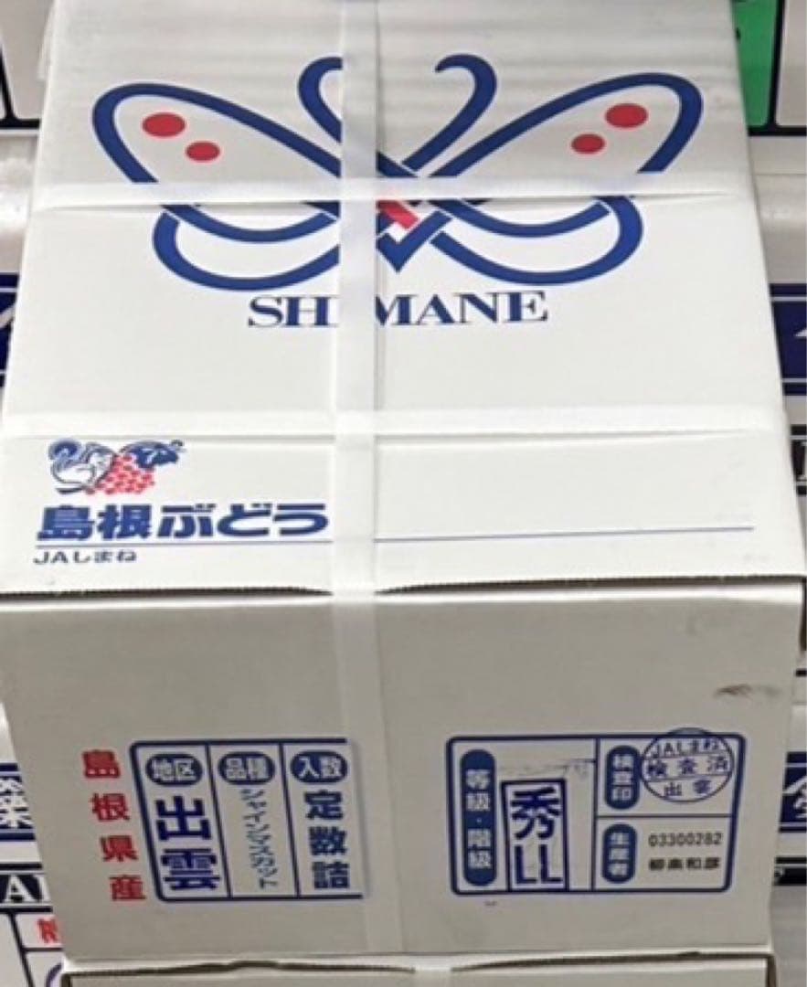 340【島根県産】シャインマスカット約2キロ(3〜5房)