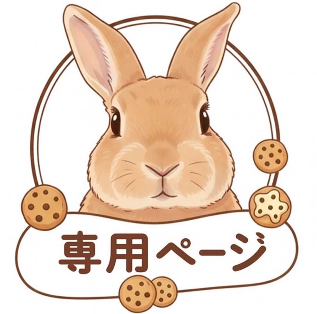 専用ページ2/18am着