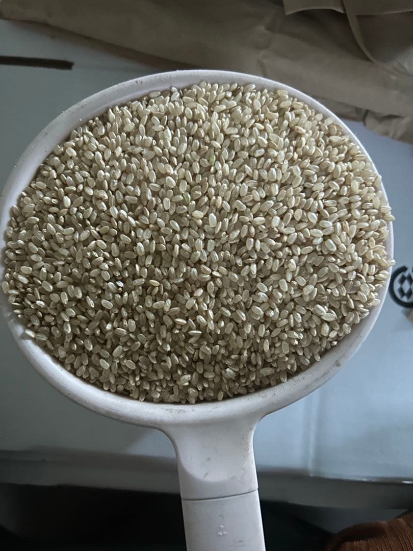 玄米　森のくまさん１０キロ