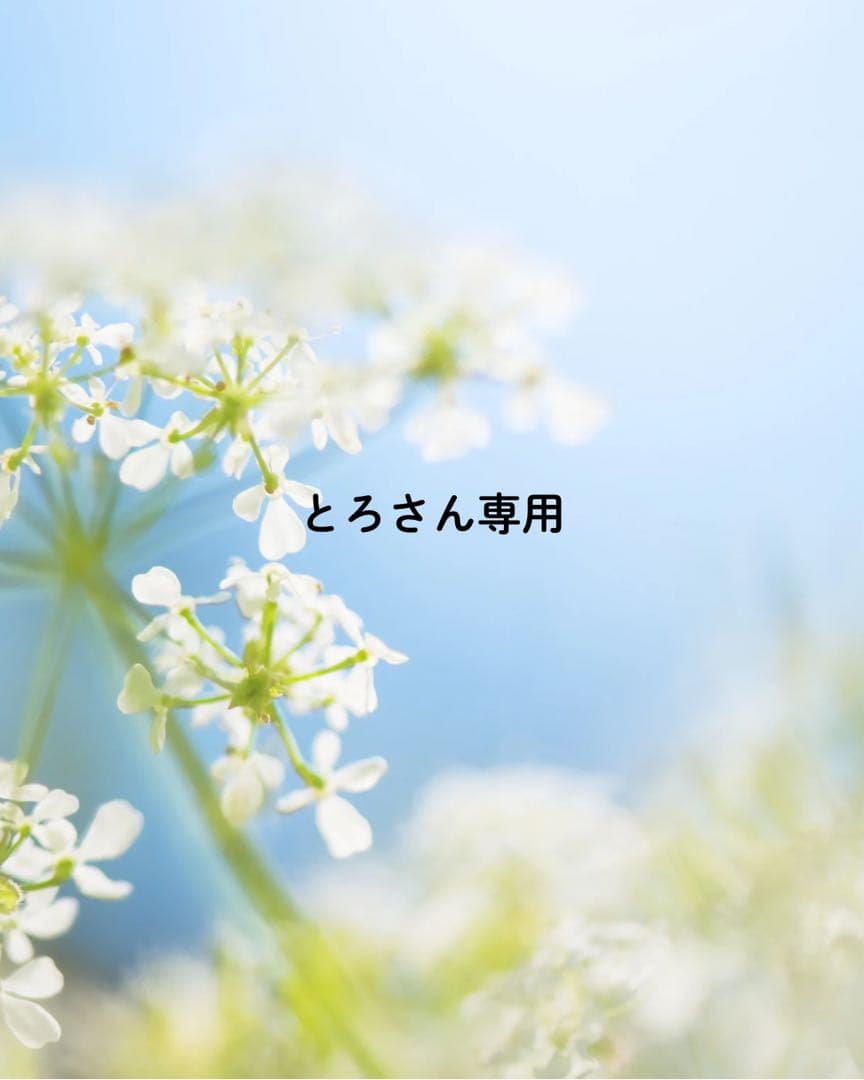 とろさん専用