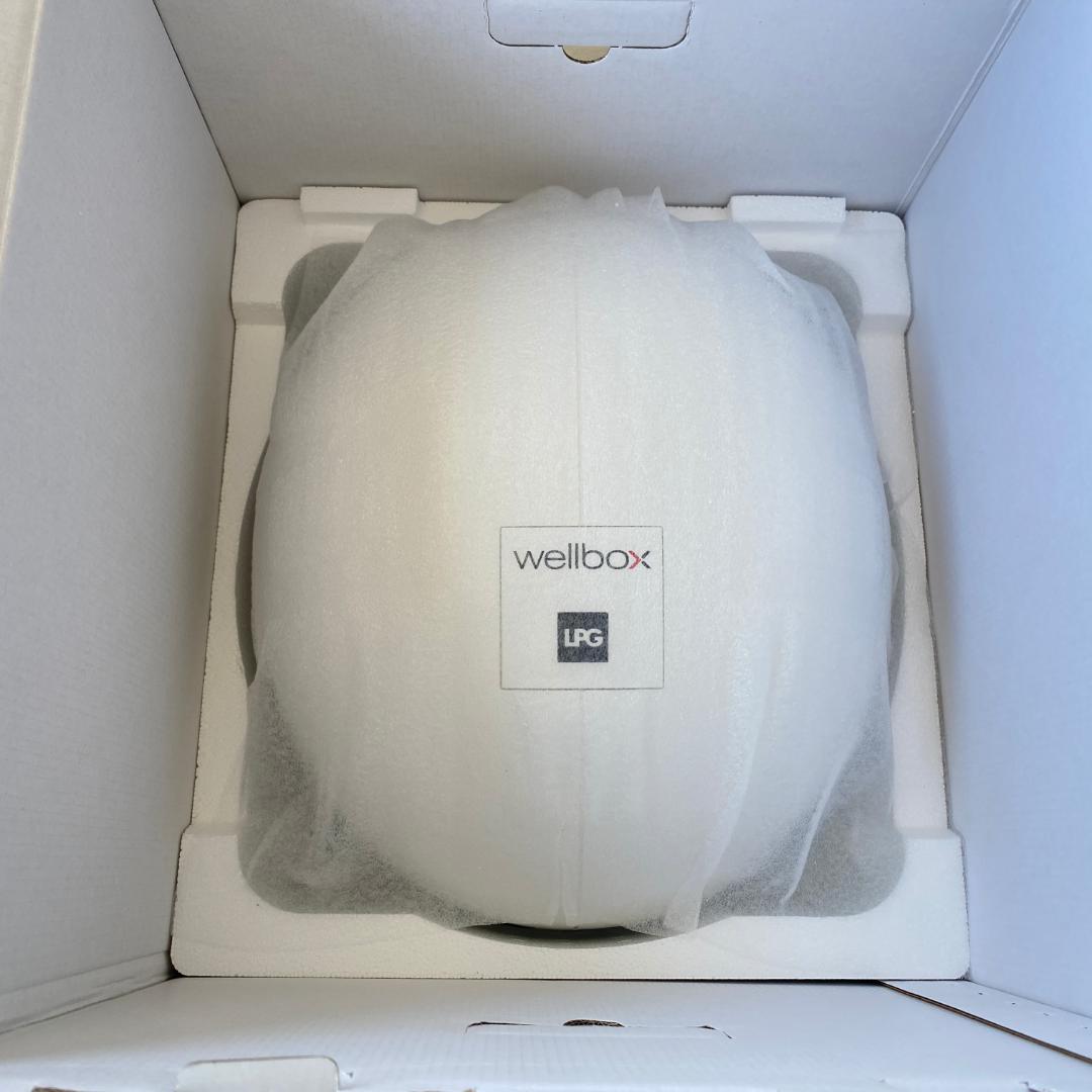 LPG Wellbox ウェルボックス 家庭用 エンダモロジー 美容機器 新品