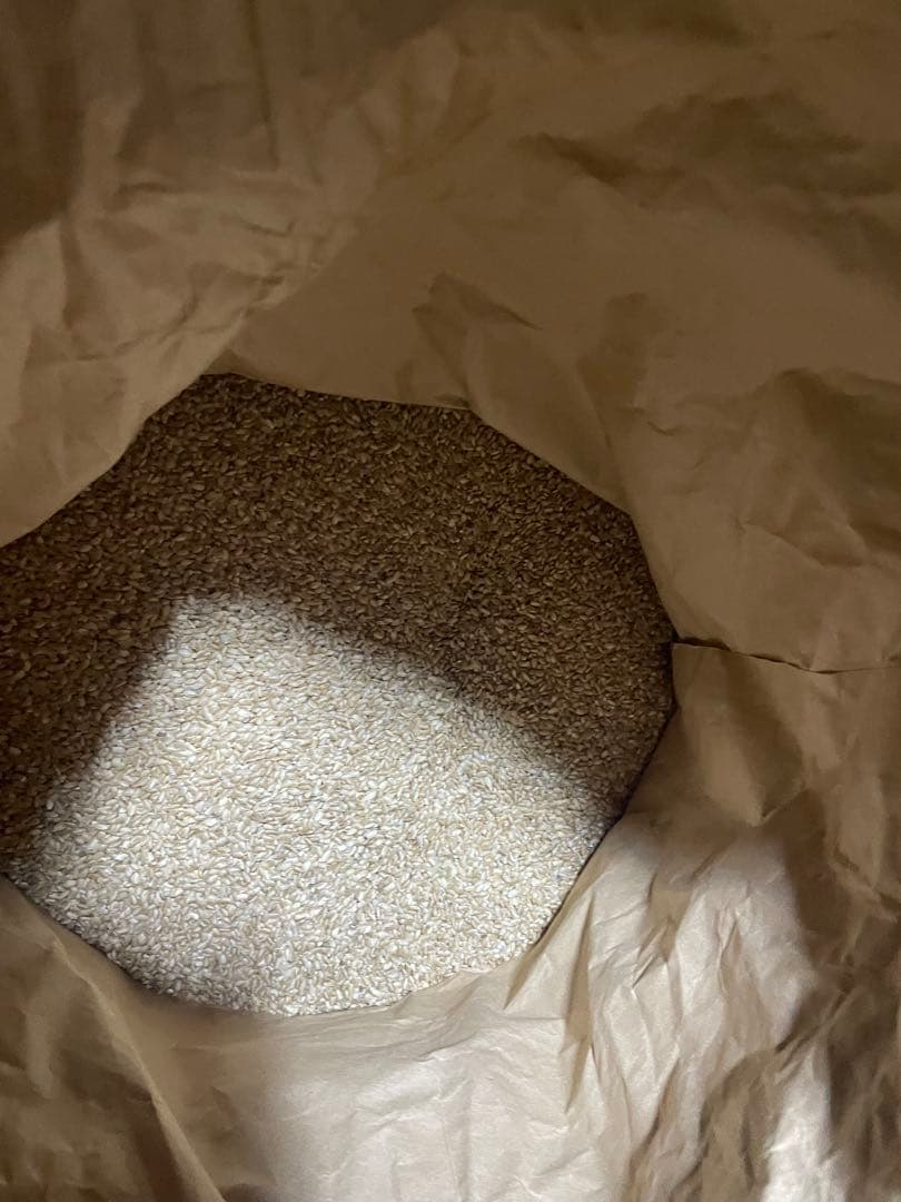 ジャガイモ販売開始しました