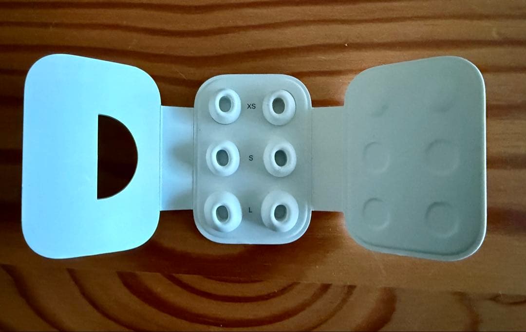 Apple AirPods Pro 2 アップル プロ カーボンケース付