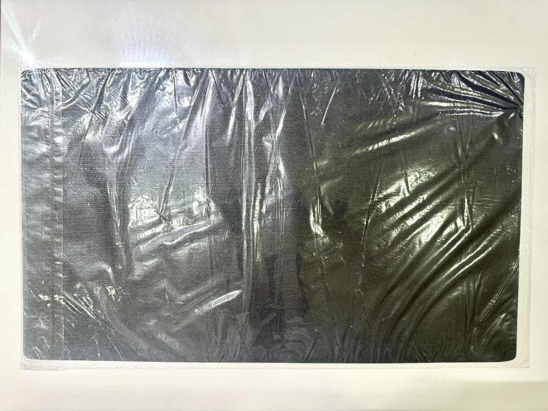 遊戯王 未開封 ハーピィ・コンダクター 韓国 プレイマット 2019