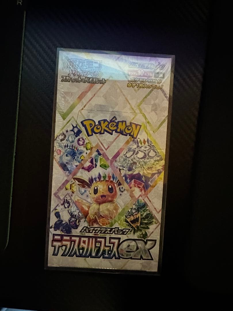R*7様 ポケモンカードゲーム テラスタルフェスex BOX 未開封 シュリンク