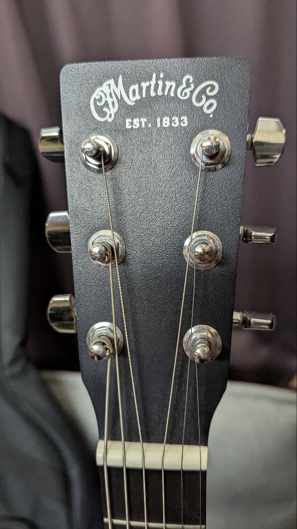 Martin & Co. アコースティックギター