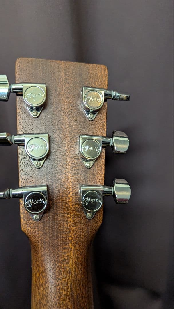 Martin & Co. アコースティックギター
