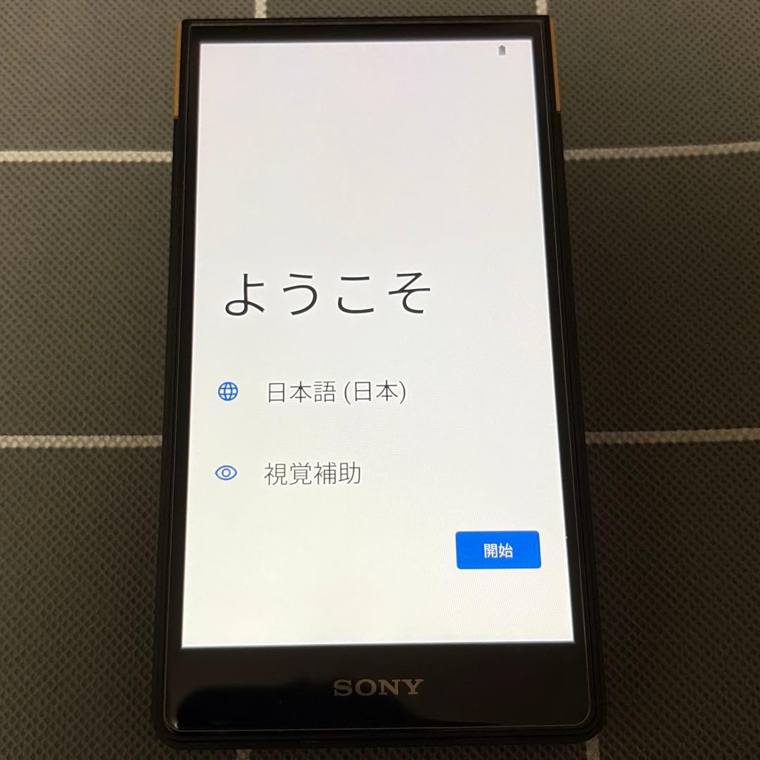 SONY NW-ZX707 純正ケース&ガラスフィルムセット