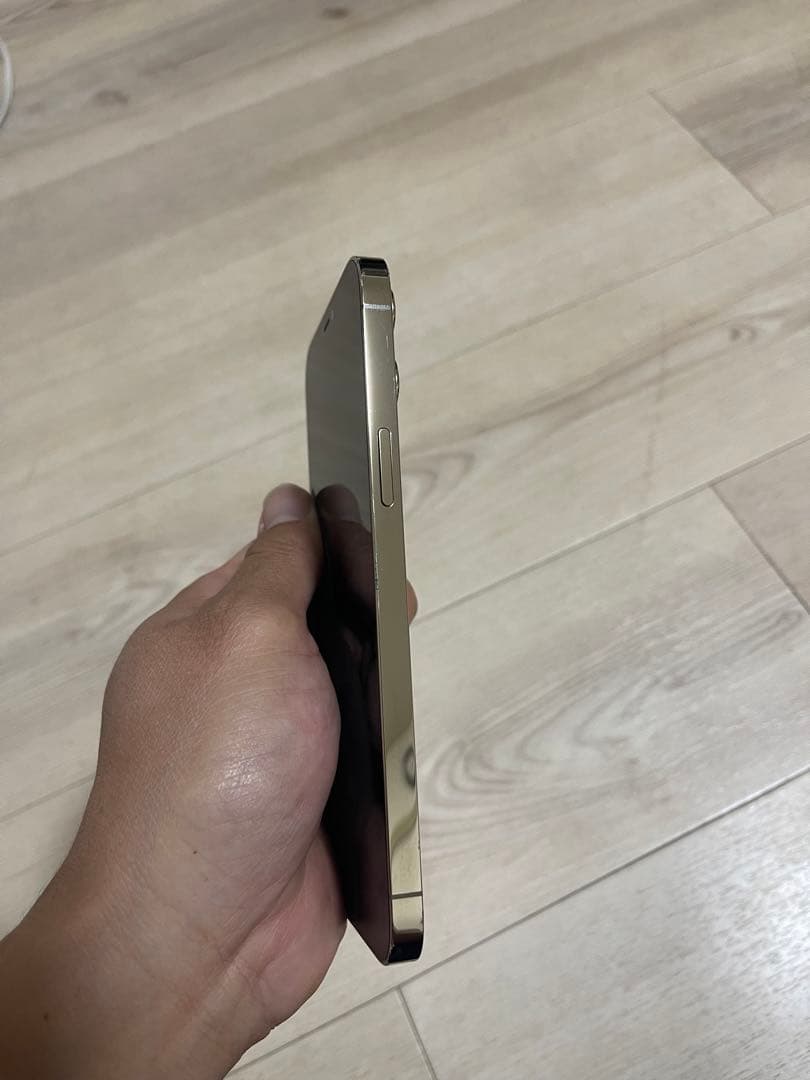 iPhone 12 Pro Max 256gb Gold Sim フリ