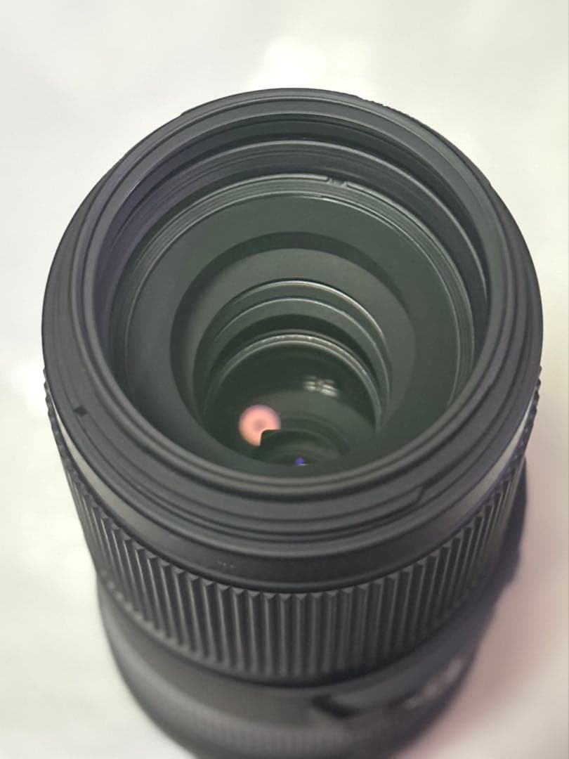 シグマ 100-400mm F5-6.3 DG DN OS フジフイルムX