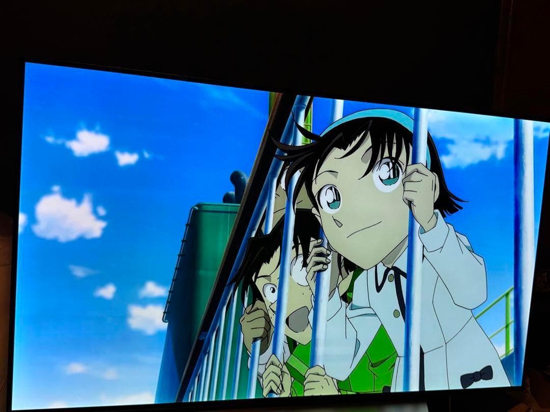 有機ＥＬ　55型　oled557c7p