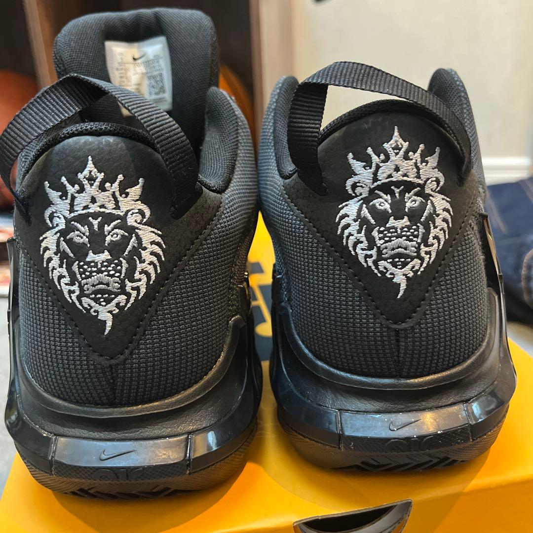 Nike LEBRON WITNESS Ⅶ ナイキ レブロン7 27cm