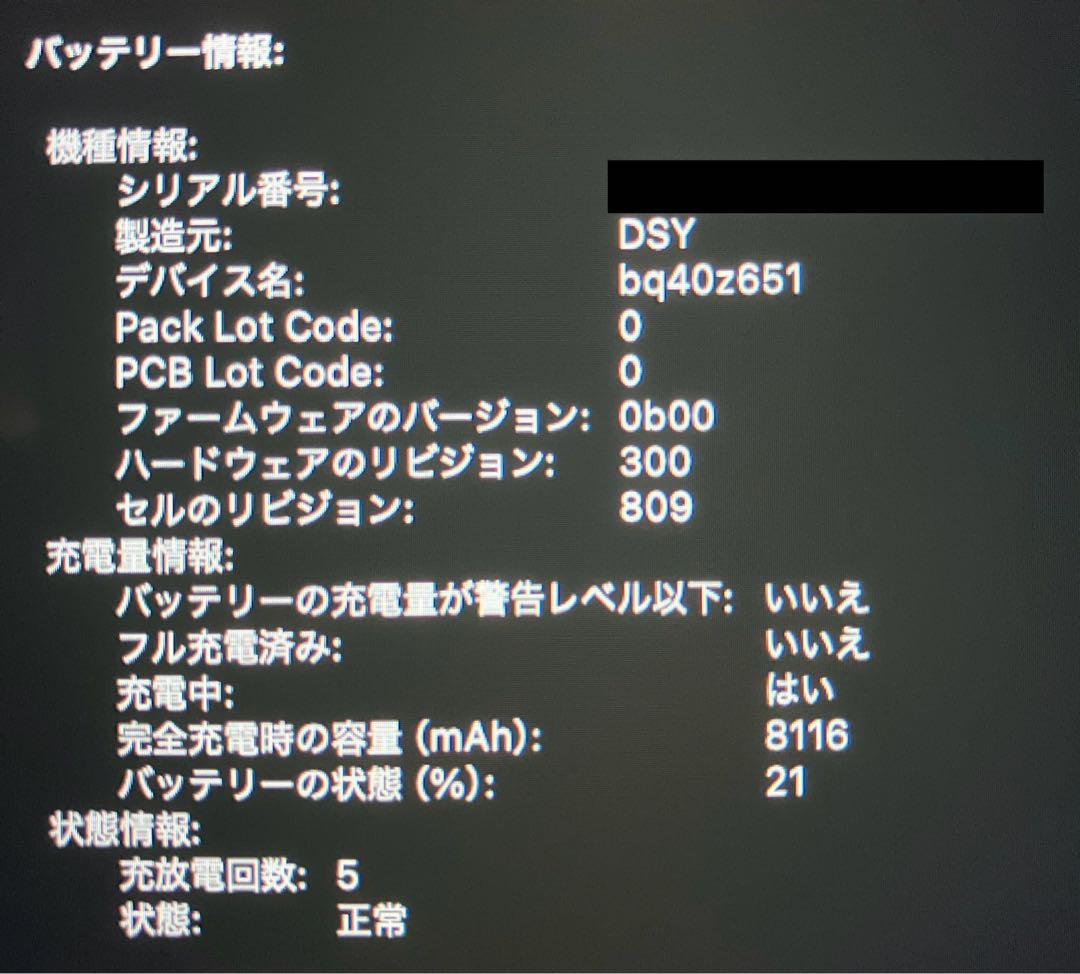 【美品/使用頻度少】MacBookPro 2019 16インチ 16GB