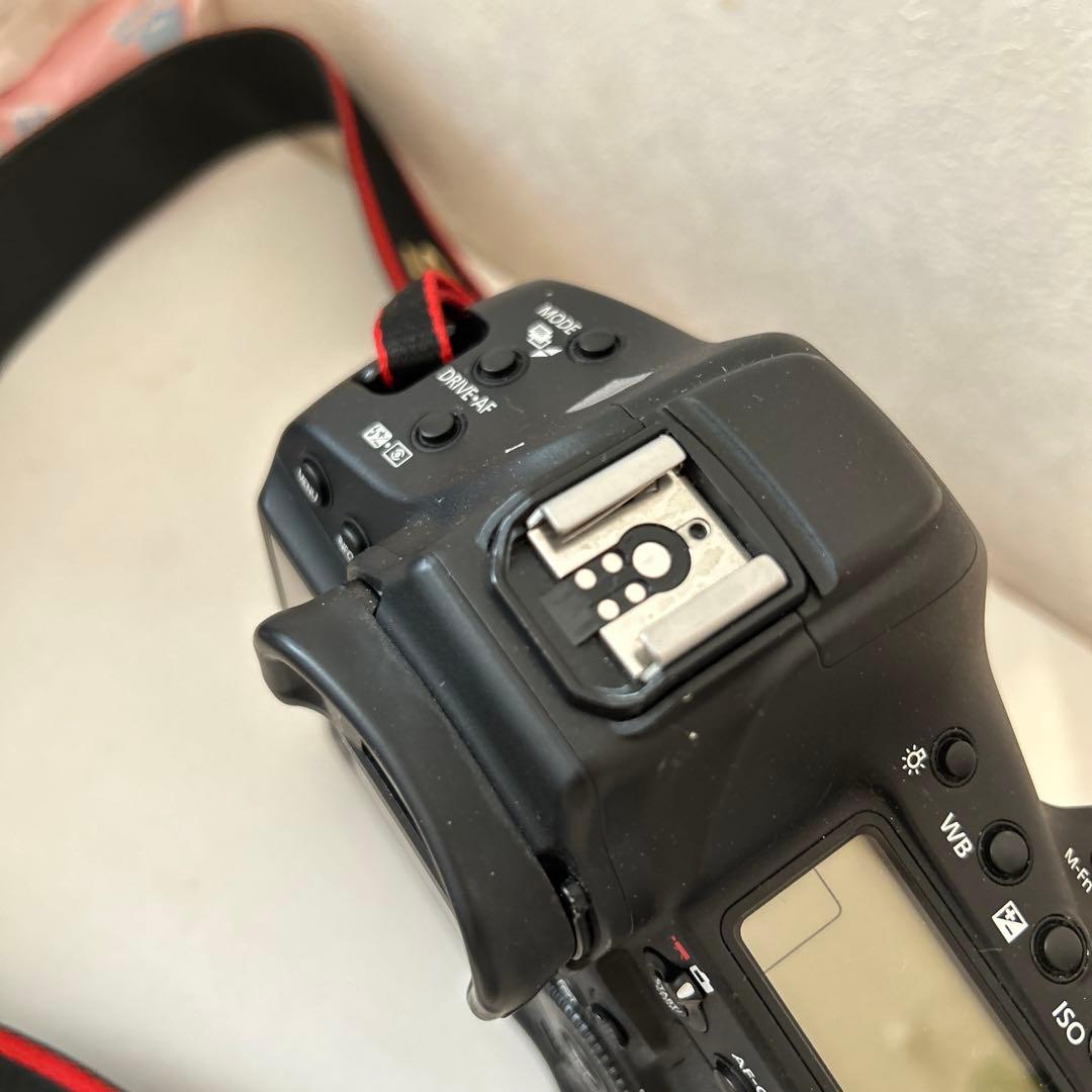 CANON EOS-1DX MarkⅡ　不動
