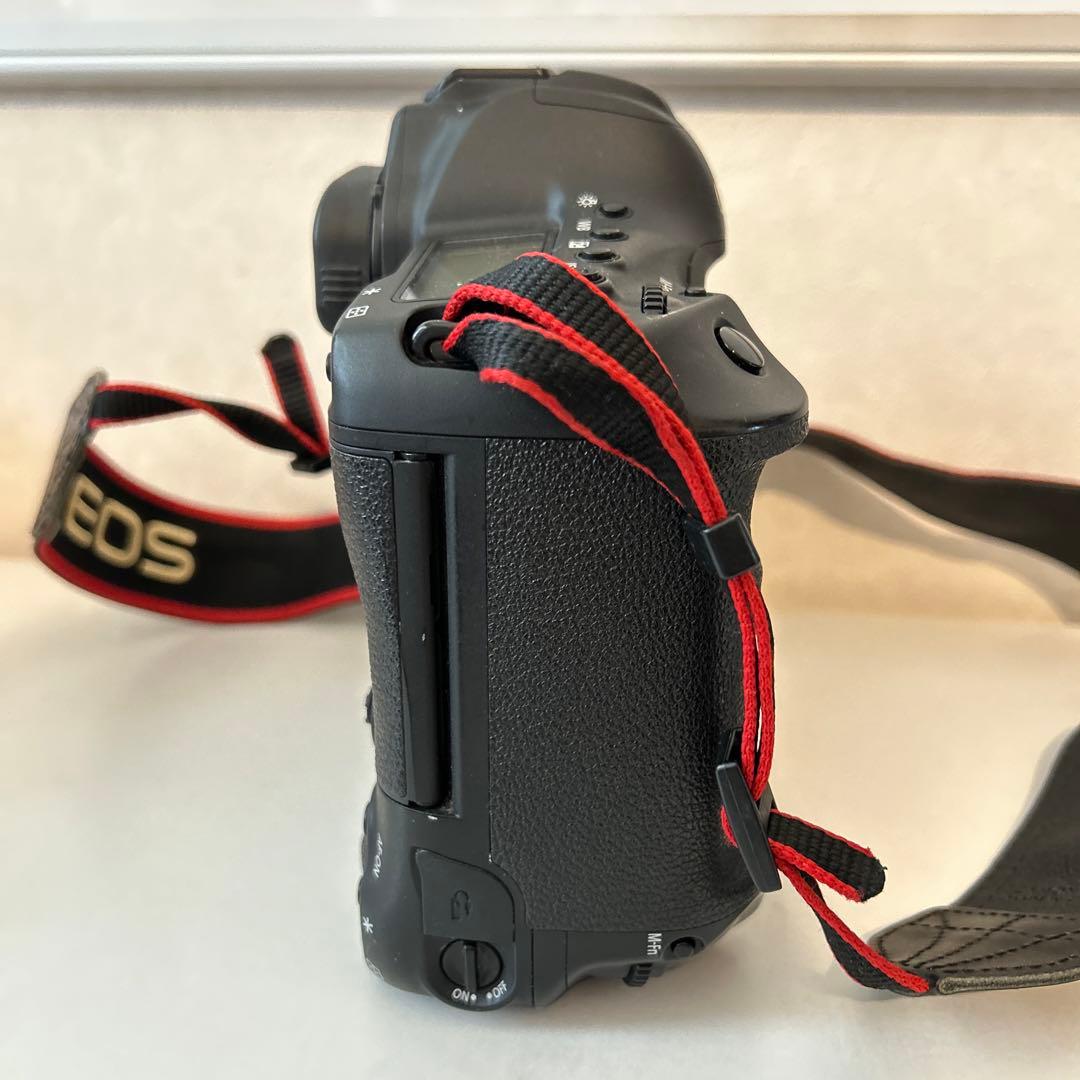 CANON EOS-1DX MarkⅡ　不動