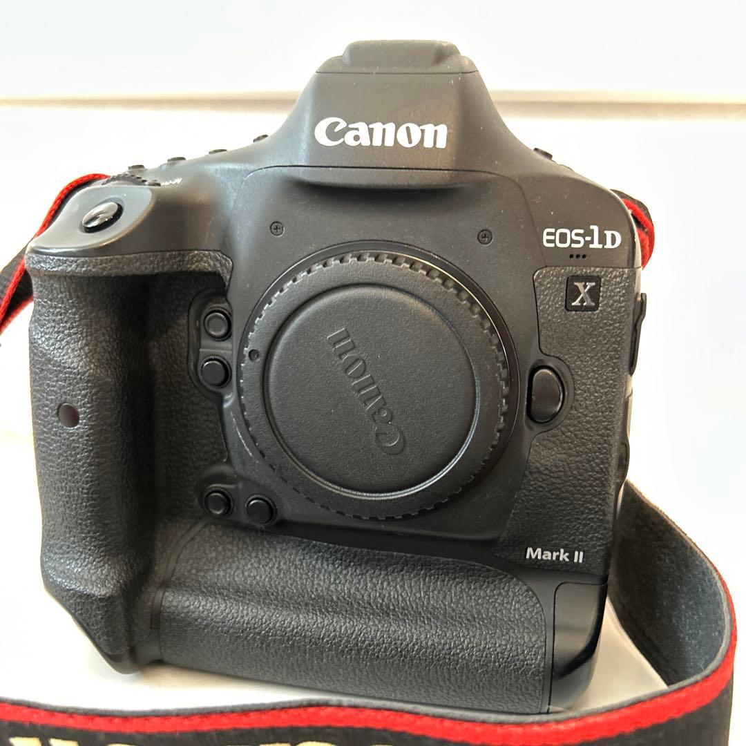 CANON EOS-1DX MarkⅡ　不動