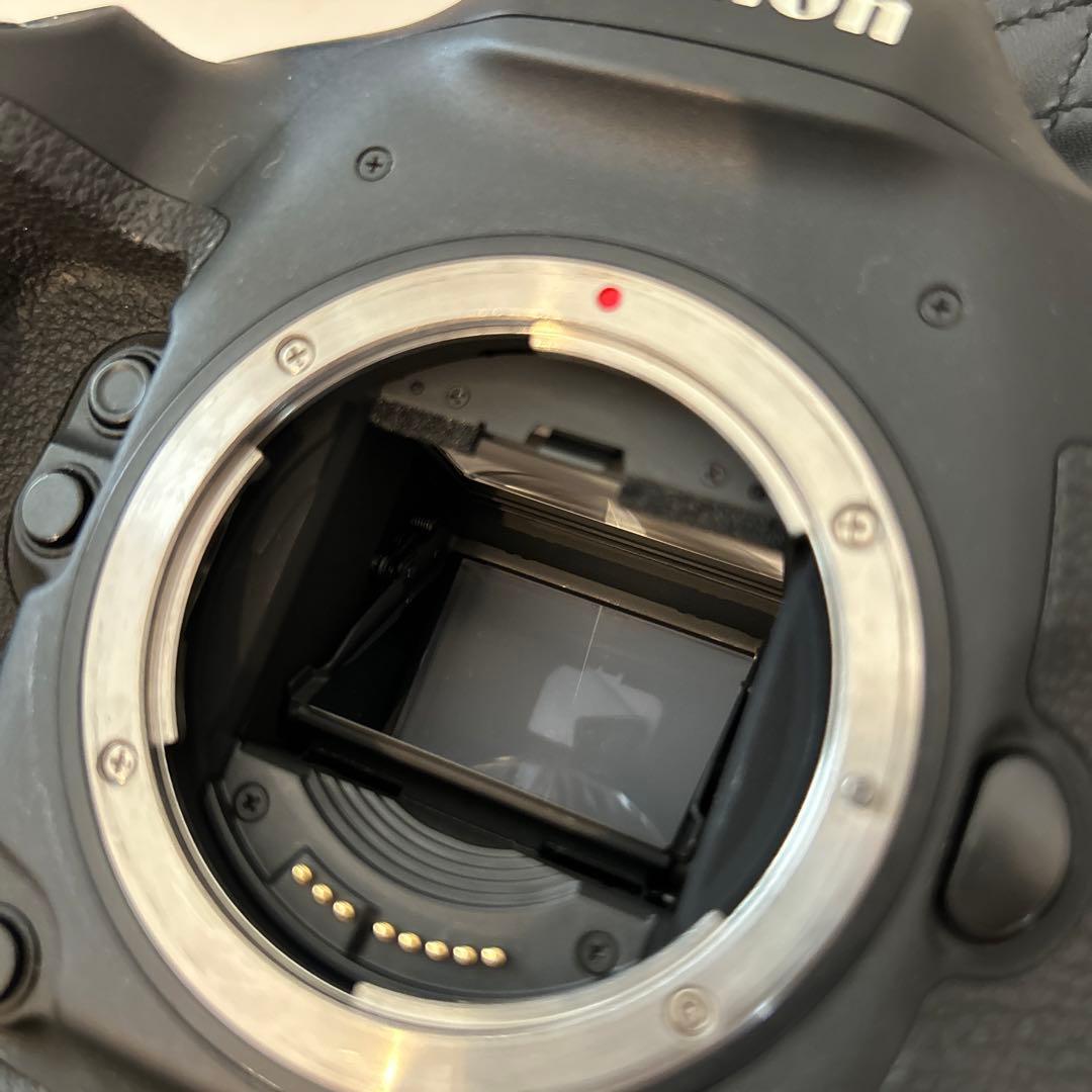 CANON EOS-1DX MarkⅡ　不動