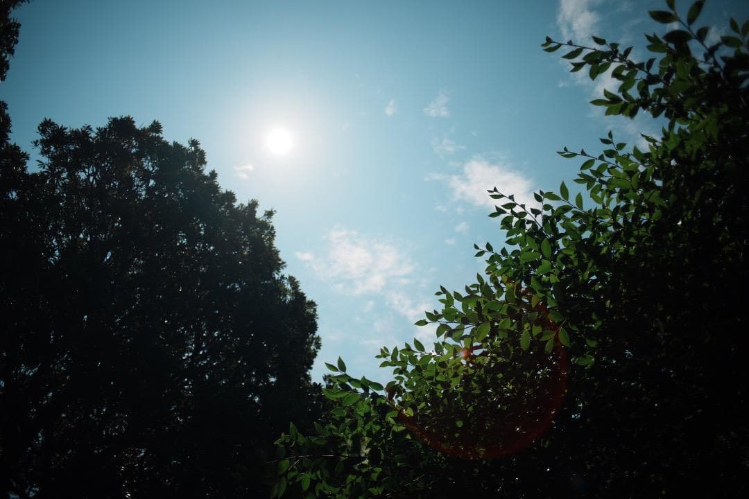 【整備＆テスト済】SMC PENTAX-M 28mm F2.8 単焦点 827