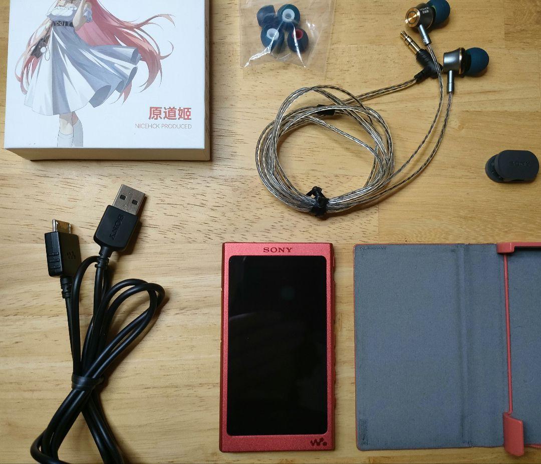【美品】WALKMAN NW-A45 ハードケースとイヤホンおまけ付き