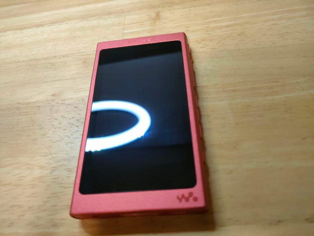 【美品】WALKMAN NW-A45 ハードケースとイヤホンおまけ付き