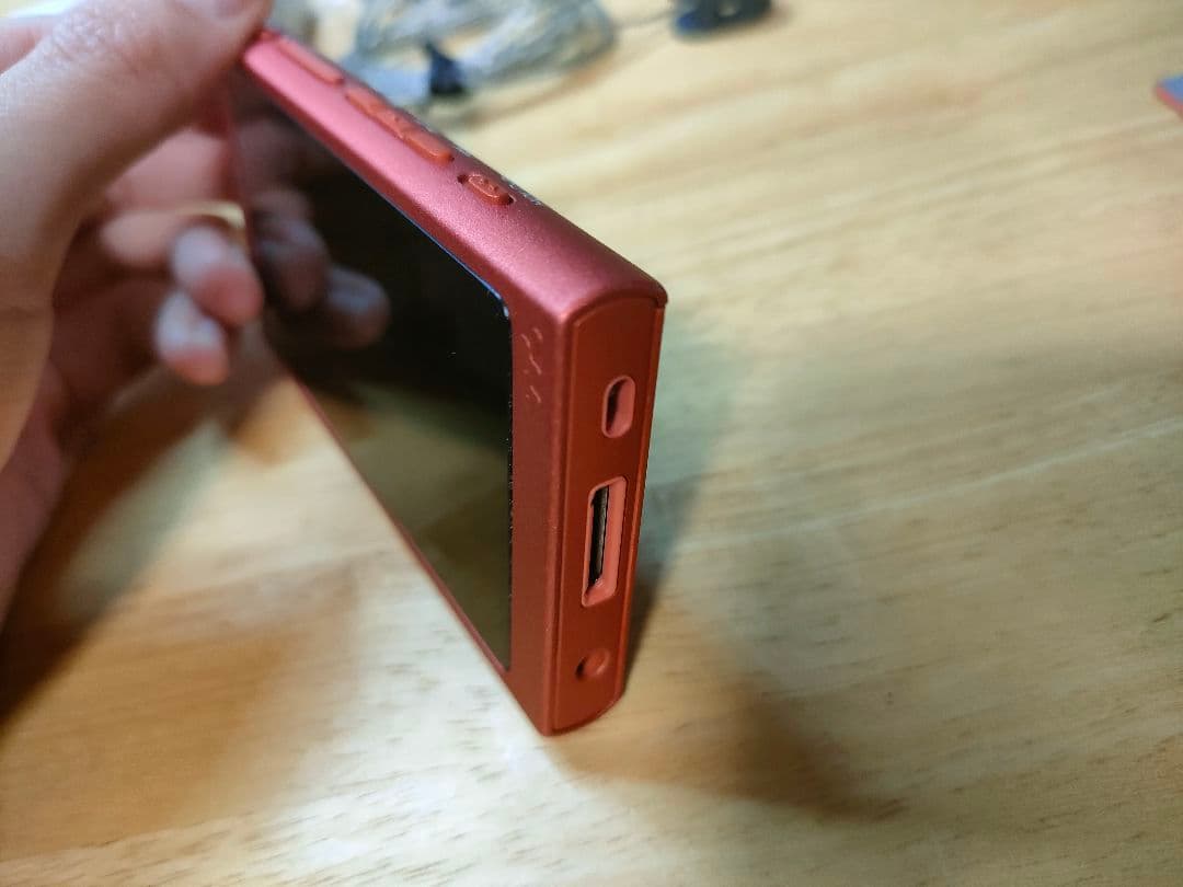 【美品】WALKMAN NW-A45 ハードケースとイヤホンおまけ付き