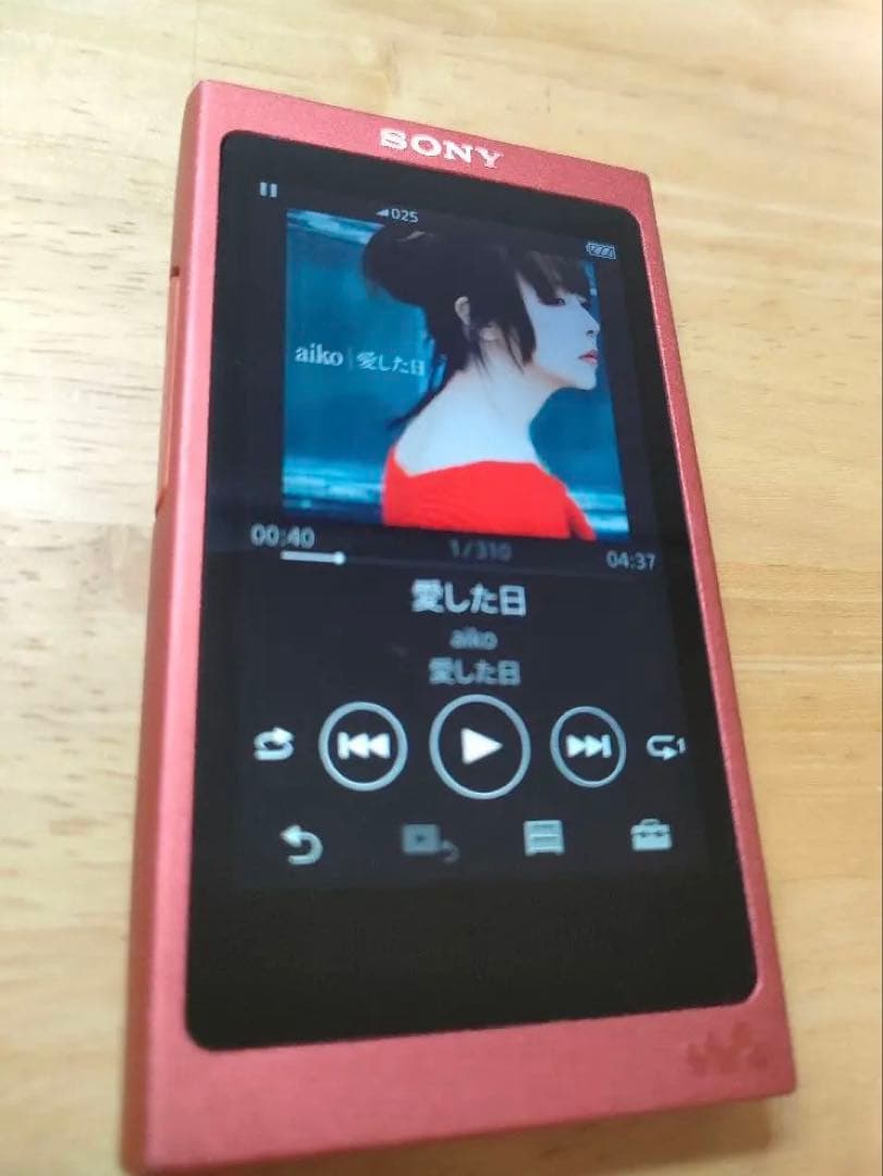 【美品】WALKMAN NW-A45 ハードケースとイヤホンおまけ付き