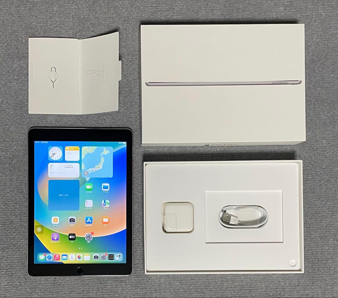 【 美品 】 Apple iPad Pro 9.7 SIMフリー 128GB