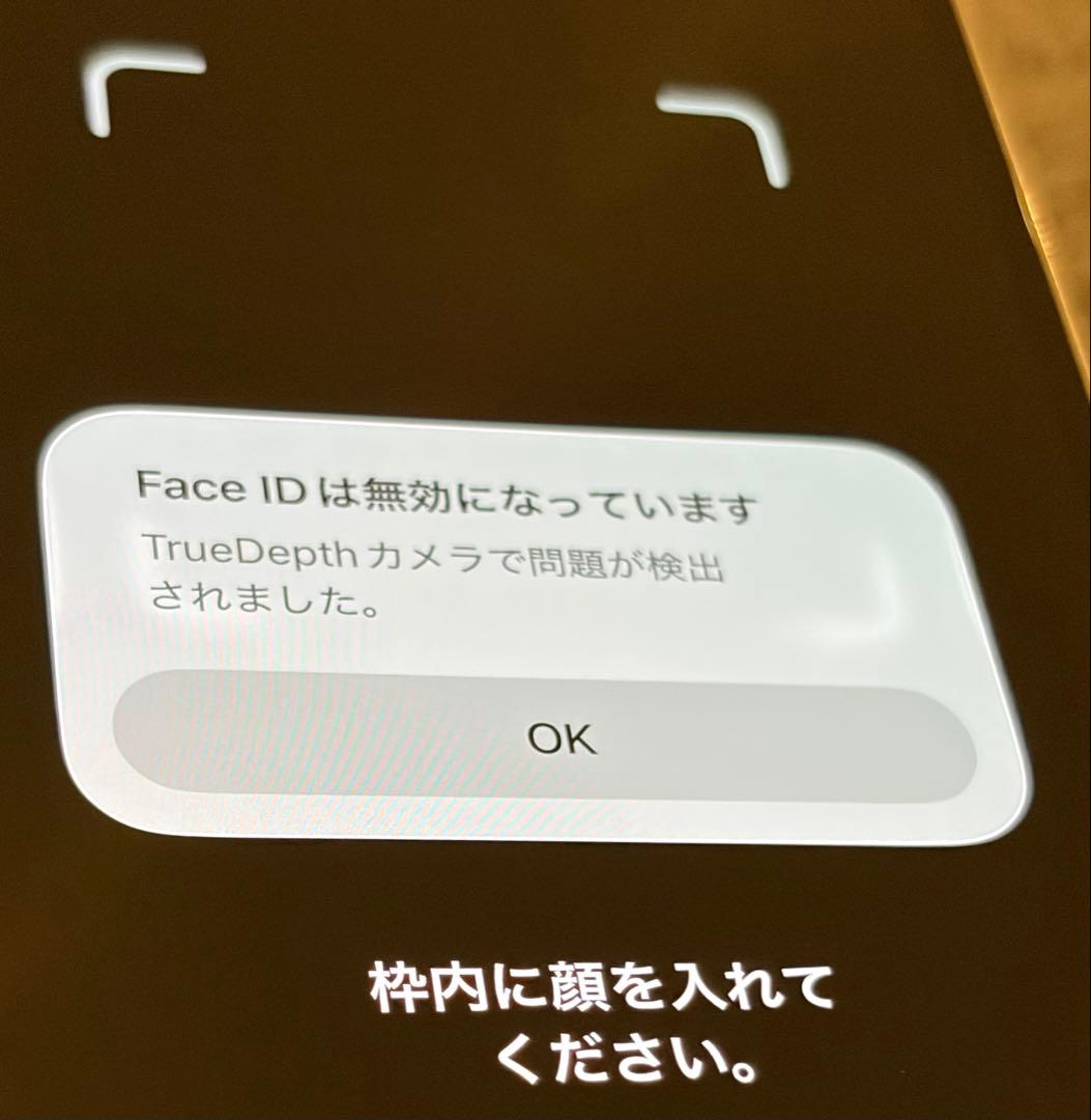 iPhone12 Pro Max 512GB シルバー