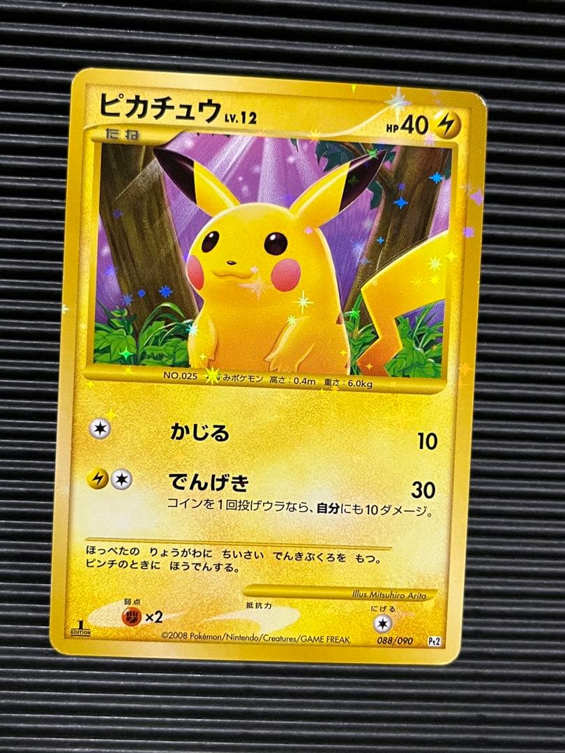 ピカチュウ　かじる