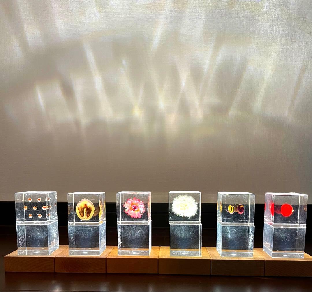 solacube Light Base6台 (solacubeは含みません)