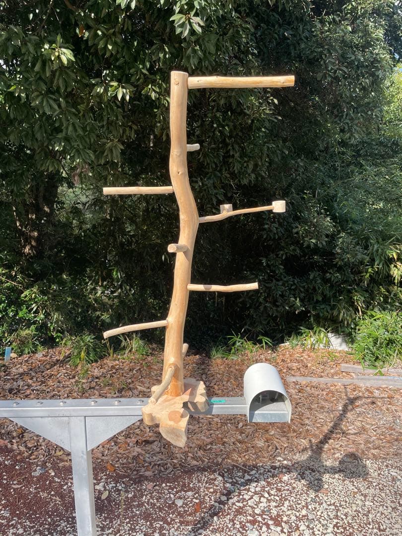 国産ヒノキ　鳥用止まり木　中型インコ用　スタンド　約100センチ