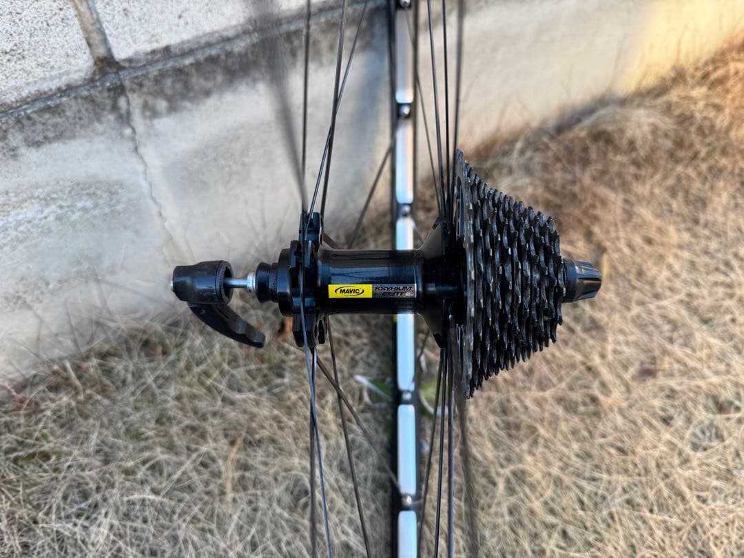 マビック キシリウム エリート クリーチャー ホイール