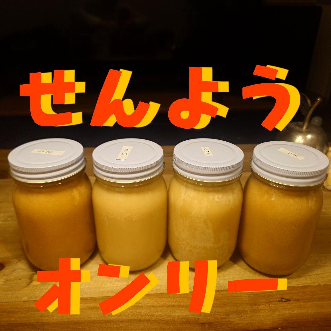 日本蜜蜂のはちみつ