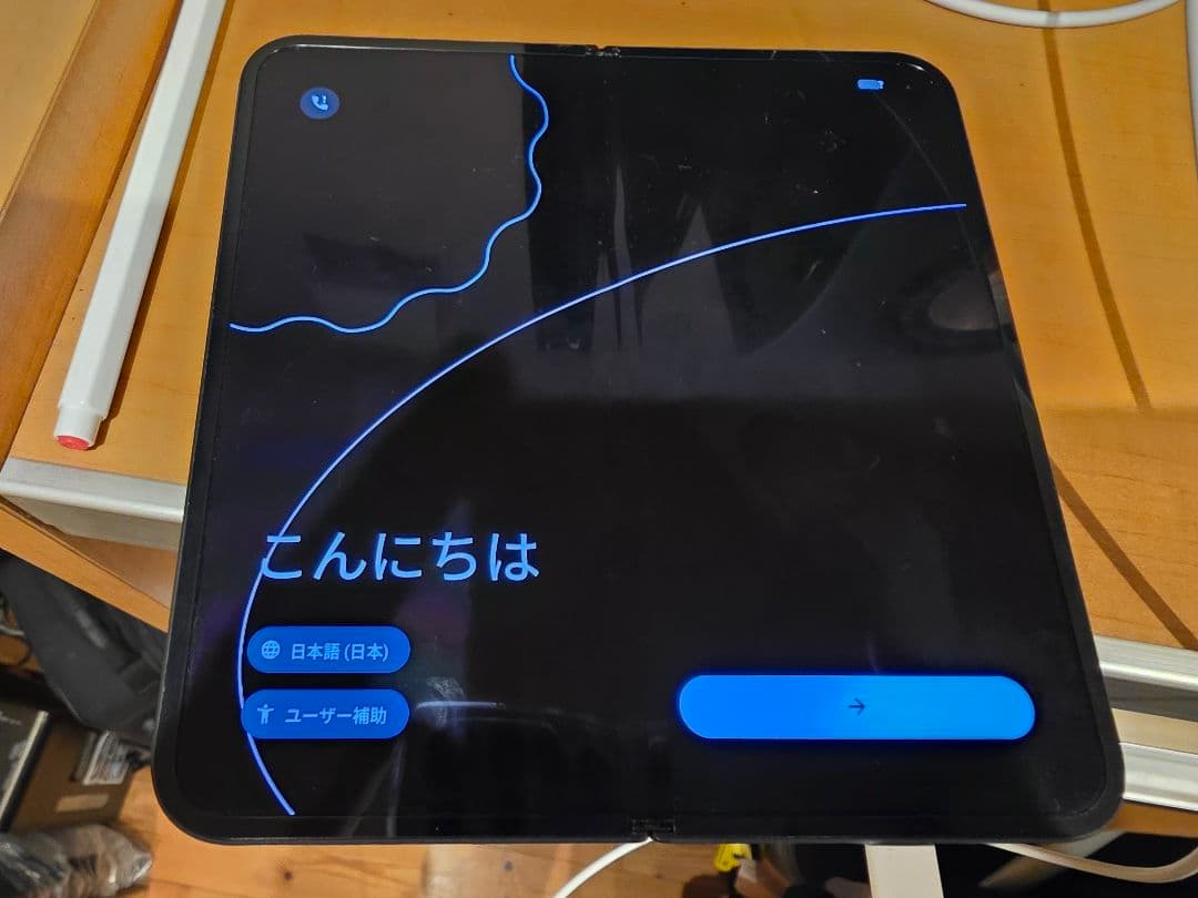 Google Pixel 9 Pro Fold（ジャンク）