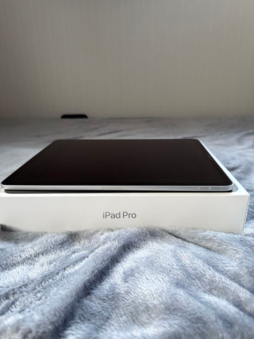 Apple iPad Pro 本体