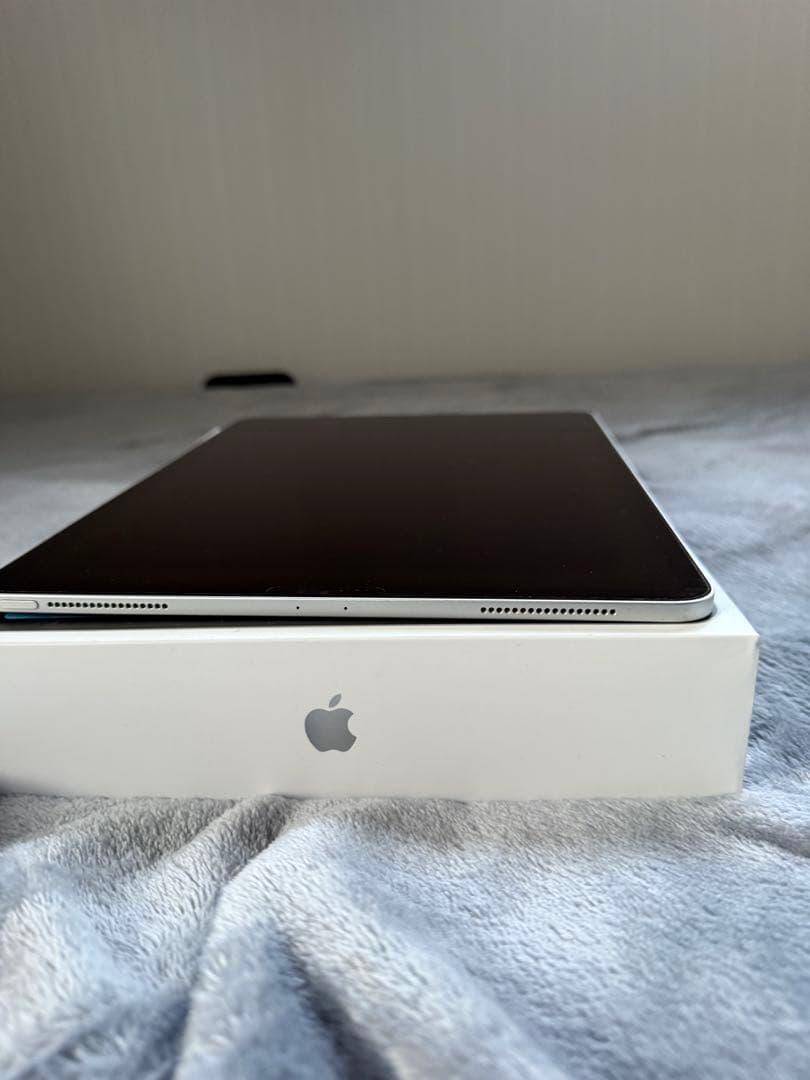 Apple iPad Pro 本体