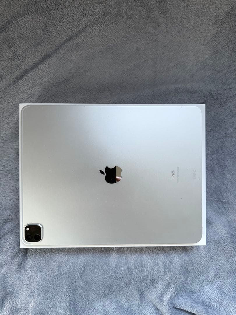 Apple iPad Pro 本体