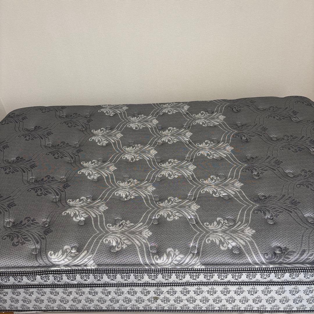 Sealy JP Titanium Collection Evans マットレス