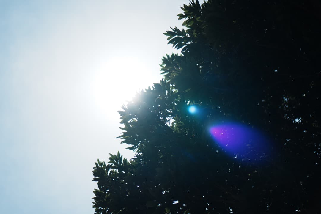 【美品】動作◎ SONY E 35mm F1.8 OSS 神レンズ 391