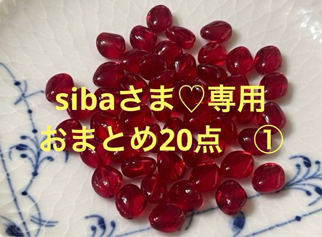 sibaさま♡専用 おまとめ20点　①